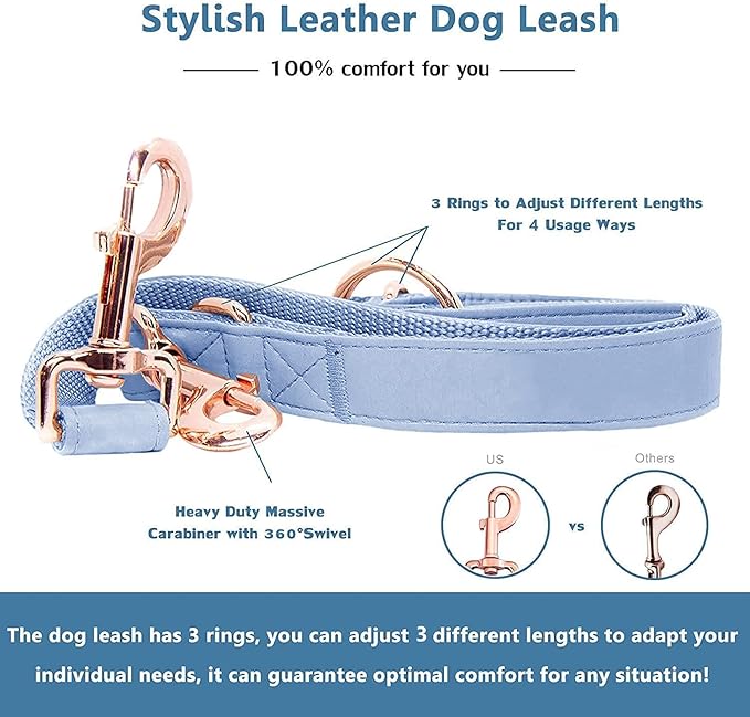 Soft Leather Dog Collar and Leash (6.6') Set - Stylish Rose Gold Heavy Duty Metal Buckle, 4 Adjustable Lengths Leash for Small Medium Large Dogs - Comfortable & Easy to Clean BluePurple M(13.8"-19.7")