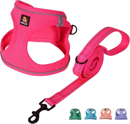 BELLA & PAL Puppy Harness with Leash Set, Step in Harness for Small Dogs, Dog Air Mesh Dog Vest Harness with Reflective Strip, No Pull No-Chock Harness for XXS, XS, Small Dog Cat (Hot Pink, XXS)