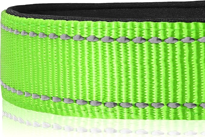 Joytale Reflective Dog Collar,Soft Neoprene Padded Breathable Nylon Pet Collar Adjustable for Large Dogs,Green,L