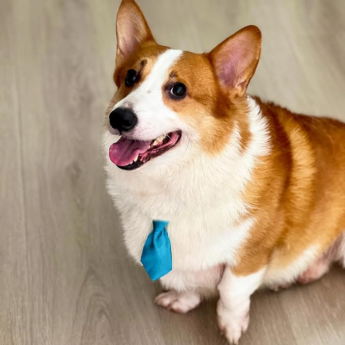 20 PCS Adjustable Pet Ties for Small Dog Neck - Pet Grooming Daily Wearing Birthday Photography Holiday Festival Party