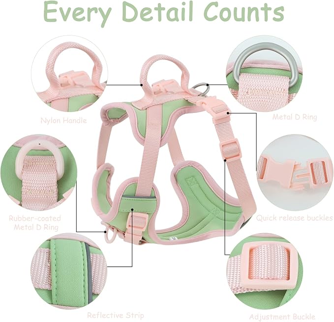 No Pull Dog Harness Adjustable Soft Padded Pet Vest with Control Handle Adorable Daily Harness for Dogs(Mint Green XL)