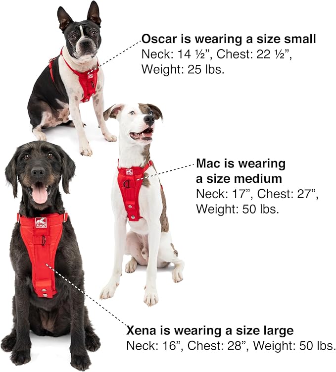 Kurgo Enhanced Strength Tru-Fit Smart Dog Harness, Charcoal, Large - Crash Tested Car Safety Harness for Dogs, No Pull Dog Harness, Includes Pet Safety Seat Belt Tether, Steel Nesting Buckles