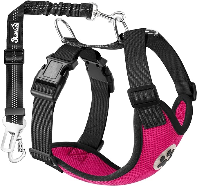 SlowTon Dog Seat Belt Harness for Car, Dog Car Harness Adjustable Mesh Breathable & Dog Seatbelt Safety Tether with Elastic Bungee for Small Medium Large Pets(Fuchsia, Double Clip, M)