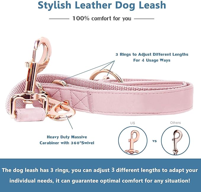 Soft Leather Dog Collar and Leash (6.6') Set - Stylish Rose Gold Heavy Duty Metal Buckle, 4 Adjustable Lengths Leash for Small Medium Large Dogs - Comfortable & Easy to Clean Pink XS(8"-12")