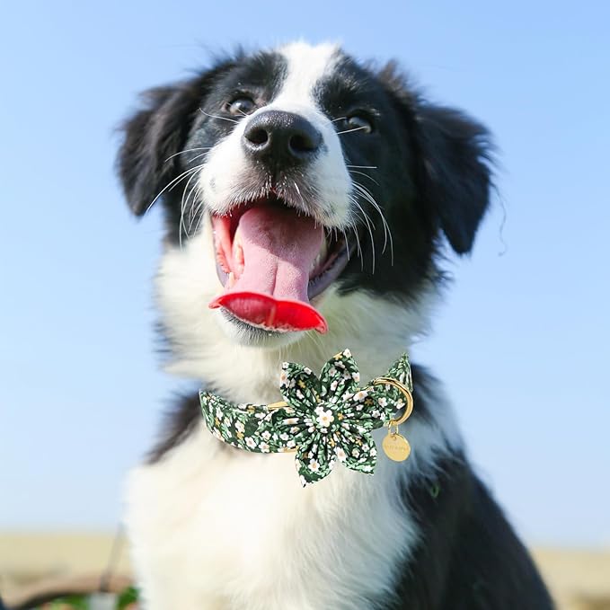 Summer Dog Collar with Flower, Lovely Flower Pattern Dog Bowtie Collar, Detachable Flowers Bow Puppy Collars with Adjustable Metal Buckle for Dogs and Cats, XL