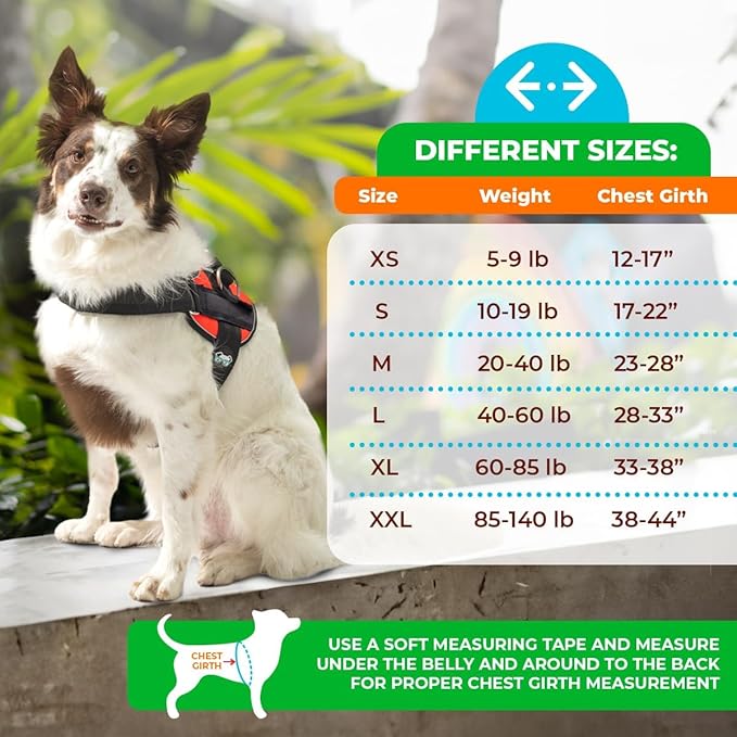 Joyride Harness LED Light Up Dog Harness 2.0 - Patent Pending Design, 3 LED Modes, Vibrant Rechargeable Lighting, Customizable Name Tag Area, and Convenient On/Off Button for Enhanced Pet Safety