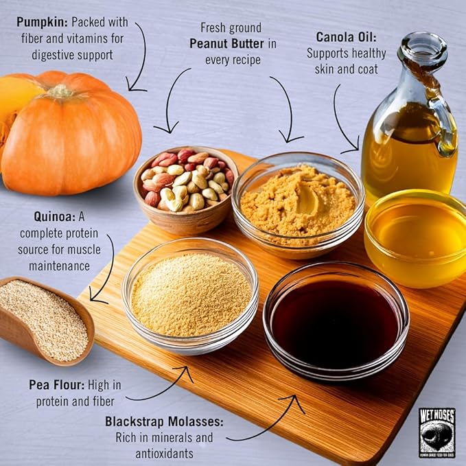 Organic Crunchy Dog Treats – for All Pet Sizes, Breeds – All-Natural Puppy Treat, Senior Dog Snack – 100% Human-Grade – Delicious Chews for Dogs - Grain-Free Pumpkin & Quinoa, 14 Oz (2 Pack)