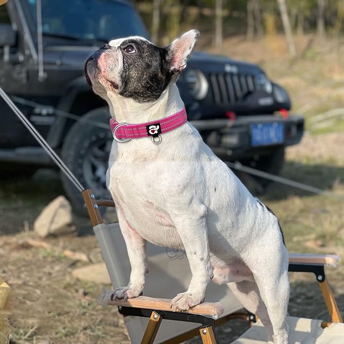 azuza Reflective Dog Collar,Soft Neoprene Padded Pet Collar with ID Tag Ring,Adjustable for Medium Dogs,Hot Pink,M