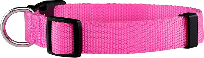Native Pup Basic Nylon Dog Collar, Adjustable for Small, Medium, Large pet and Puppies Accessories, Cute Colors for Male, Female, boy, Girl, Puppy (Large, Hot Pink)