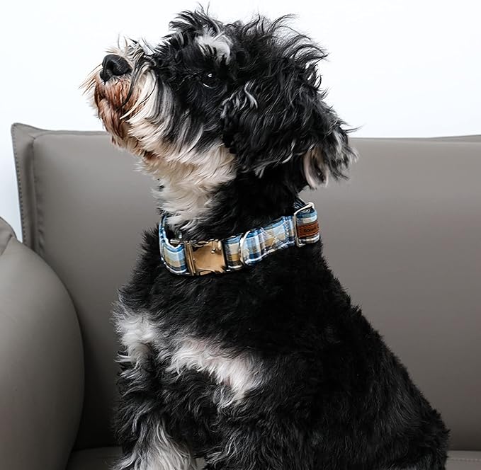 Lionet Paws Boy Dog Collar, Comfortable Adjustable Cute Blue Plaid Collar with Metal Buckle for Male Dogs, Small, Neck 10-16 inches
