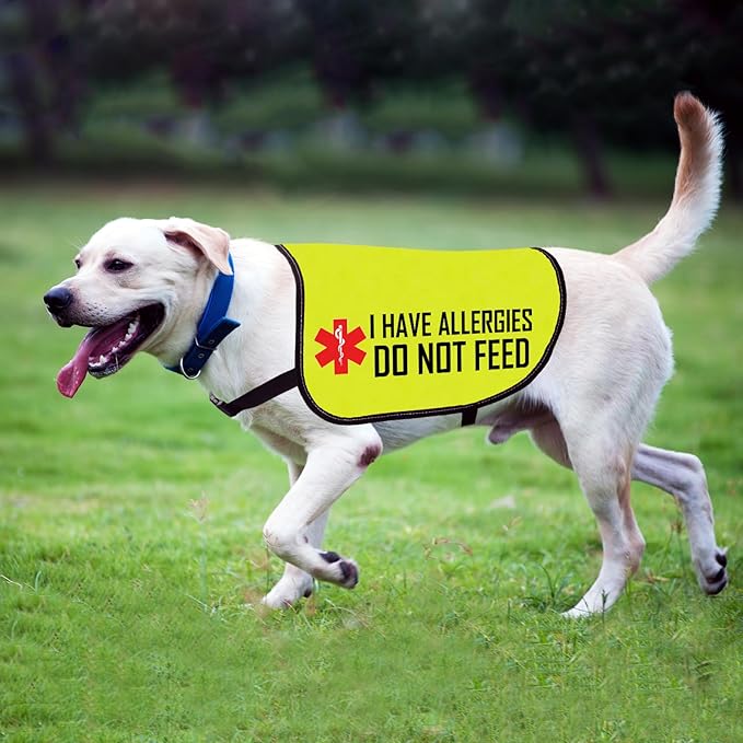 Allergies Warning Dog Jacket Vest I Have Allergies Do Not Feed Dog Harness Special Diet Alleric Dog Gift (DO NOT Feed-Medium)