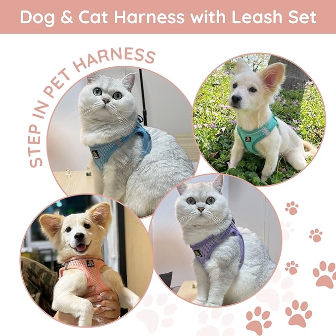 BELLA & PAL Puppy Harness & Leash Set, No-Pull Harness for Small & Extra Small Dogs, Step-In Pink XXS Harness
