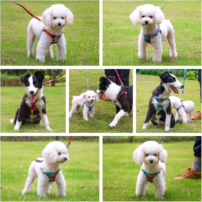 CHEDE No Pull Puppy Harness and Multifunction Dog Leash Set- 8 Colors Soft Adjustable No Choke Escape Proof Cute,Lightweight Pet Vest Harness for Small and Medium Dog (XS, Green Grid)