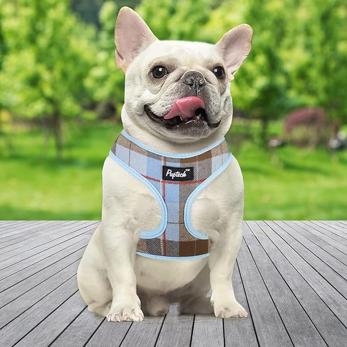 PUPTECK Soft Mesh Dog Harness and Leash Set Pet Puppy Cat Comfort Padded Vest No Pull Harnesses, Blue&Brown, L