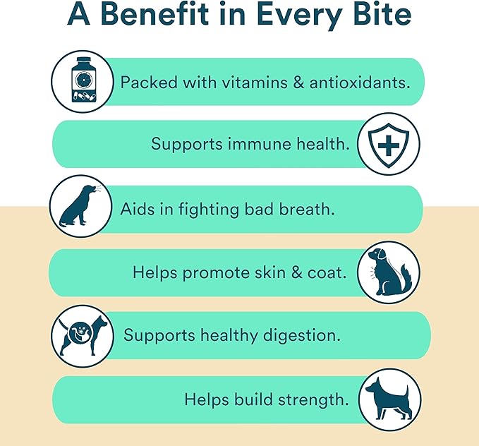 Benefit Biscuits, All Natural Dog Treats, Certified Vegan, Non GMO, Wheat Free, Healthy Dog Biscuits, Made in USA (Mint, Large Bag 1lb)