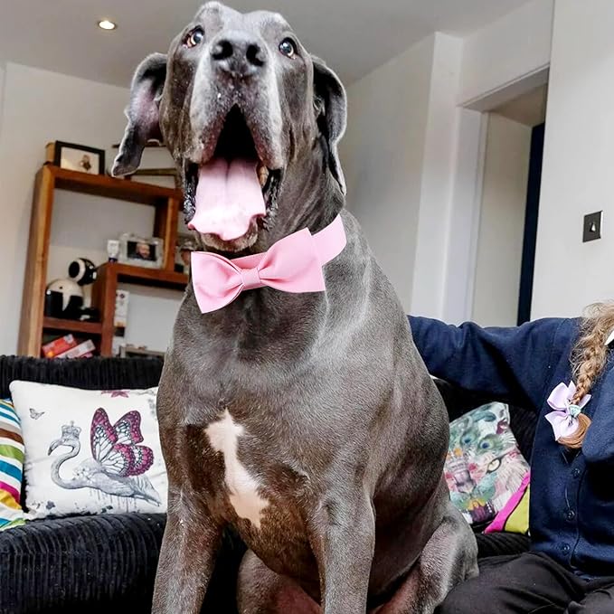 Segarty Dog Bow Ties for Large Dogs, Adjustable Pink Bowtie Collar, Durable Dog Neck Tie Tuxedo Comfortable Cotton Girl Pets Bows Grooming Accessories for Formal Wedding Holiday Birthday Gift Party