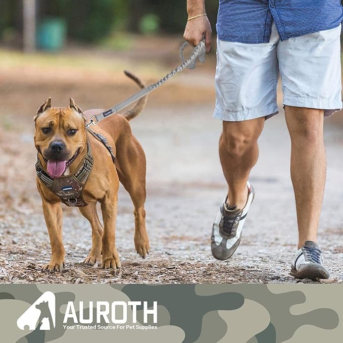 AUROTH Dog Leash Large Dogs, Heavy Duty Dog Leash Bungee, No Pull Dog Leash for Shock Absorption, Grey Dog Training Leashes for Medium Large Breed Dogs 6FT/4.5FT, 2 Padded Handles
