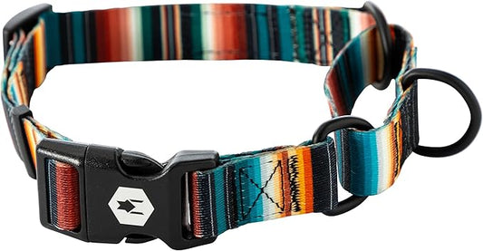 Wolfgang Heavy Duty Martingale Dog Collar with Quick Release Nylon Buckle for Walking & Training, LostArt Print, Extra Large