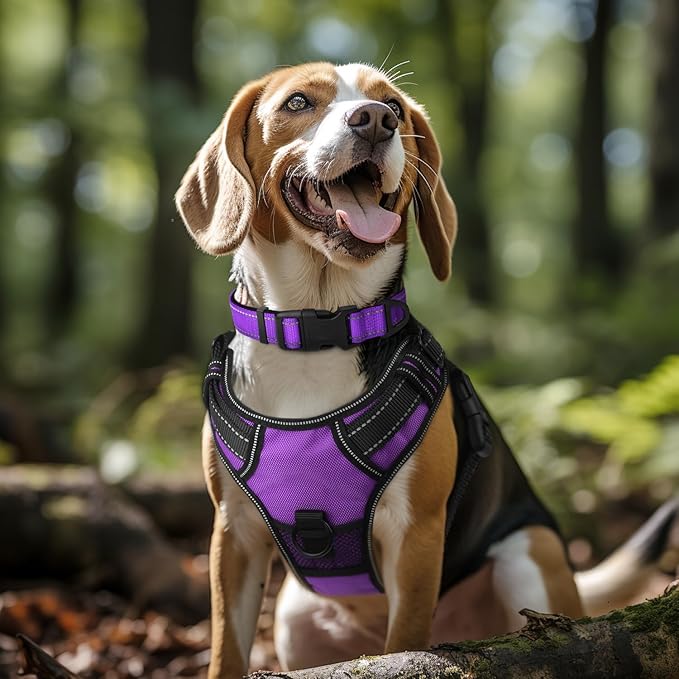 Joytale Reflective Dog Collar,Soft Neoprene Padded Breathable Nylon Pet Collar Adjustable for Extra Large Dogs,Purple,XL