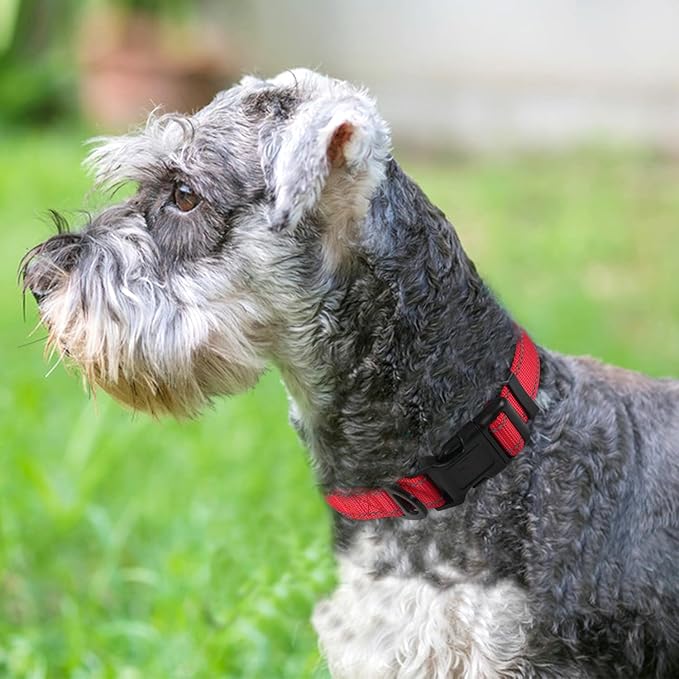 Joytale Reflective Dog Collar,Soft Neoprene Padded Breathable Nylon Pet Collar Adjustable for Small Dogs,Red,S