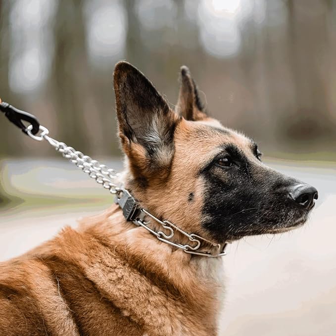 Herm Sprenger Dog Training Prong Collar with Quick Release ClicLock Buckle for Small Medium Large Dogs Stainless Steel Collar for Dogs Made in Germany (16in x 2.25mm)