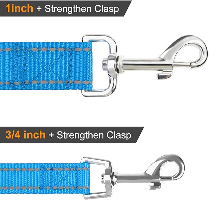 Joytale Double-Sided Reflective Dog Leash, 6 FT/5 FT/4 FT, Padded Handle Nylon Heavy Duty Leashes for Small & Medium Dogs Walking, Sky Blue, 6FT