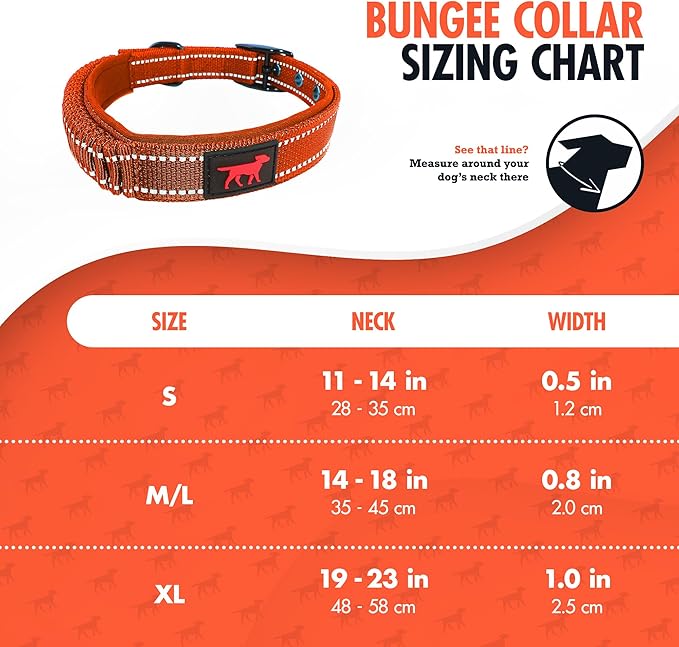 Heavy Duty Dog Collar With Handle | Ballistic Nylon Heavy Duty Collar | Padded Reflective Dog Collar With Adjustable Stainless Steel Hardware | Convenient Sizing for All Breeds