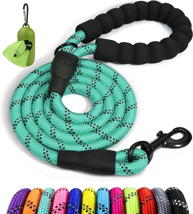 Taglory Rope Dog Leash 4 FT with Comfortable Padded Handle, Highly Reflective Threads Leash for Small Dogs, 3/8 inch, Turquoise
