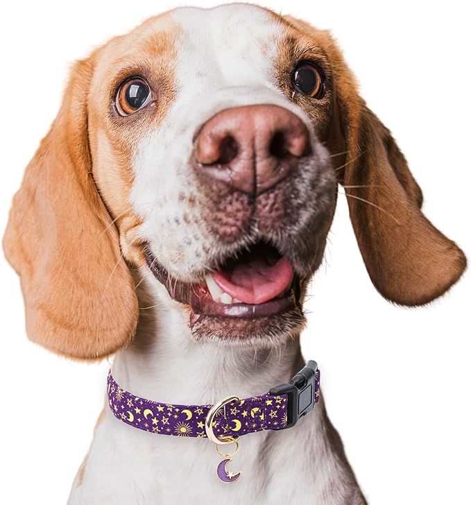 Cotton Dog Collar,Adjustable Cute Puppy Collar with Moon Patterned Design for Small Medium Large Dogs,Soft and Fancy Pet Collar with Safety Buckle for Girl Boy Dogs (Purple Moon, S)