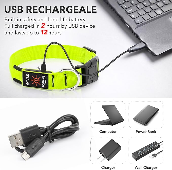 Illumifun LED Collar for Small Dogs, USB Rechargeable Light Up Dog Collars, Flashing Pet Safety Light Glow in The Dark (Green, Small)