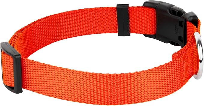 Country Brook Petz - American-Made Dog Collar for Large, Medium, and Small Dogs and Puppies - Deluxe Heavy Duty Nylon in 33 Dazzling Colors (3XS, 3/8 Inch Wide, Hot Orange)