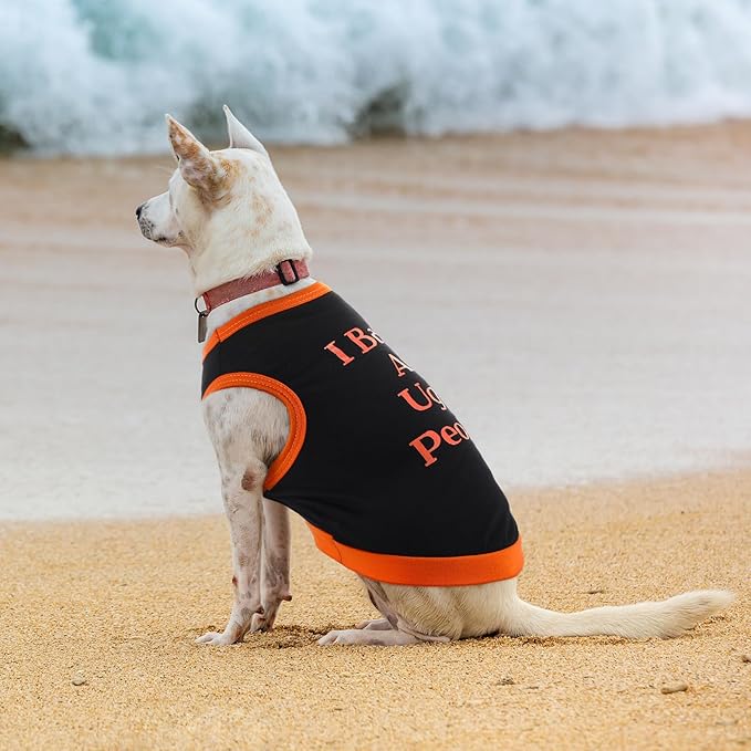 Saintrygo 8 Pieces Dog Shirts Pet Printed Clothes with Funny Letters Summer Pet T Shirts Cool Puppy Breathable Dog Outfit Soft Sweatshirt Cats(Delicate Pattern,Small)