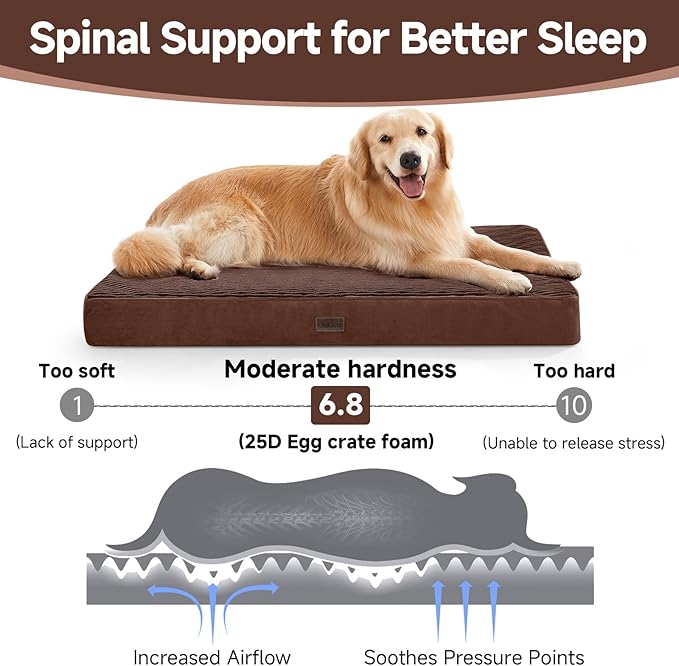 OhGeni Orthopedic Waterproof & Machine Washable Dog Bed for Large Pets, Suitable for Crates, 25D Egg Crate Foam, Non-Slip Bottom & Removable Cover, Invisible Zipper, 41 Inches(Brown)