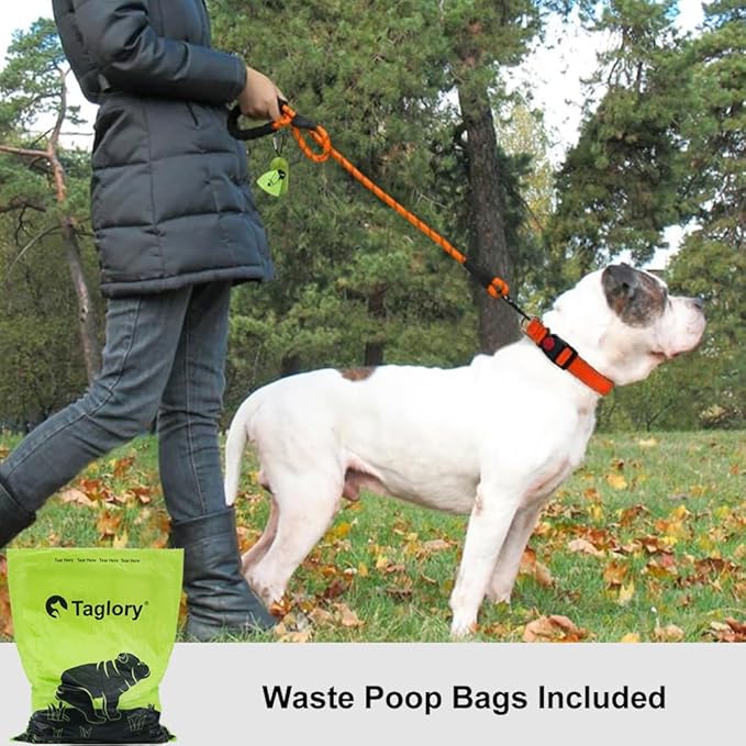 Taglory Rope Dog Leash 5 FT with Comfortable Padded Handle, Highly Reflective Threads Leash for Medium Large Dogs, 1/2 inch, Orange