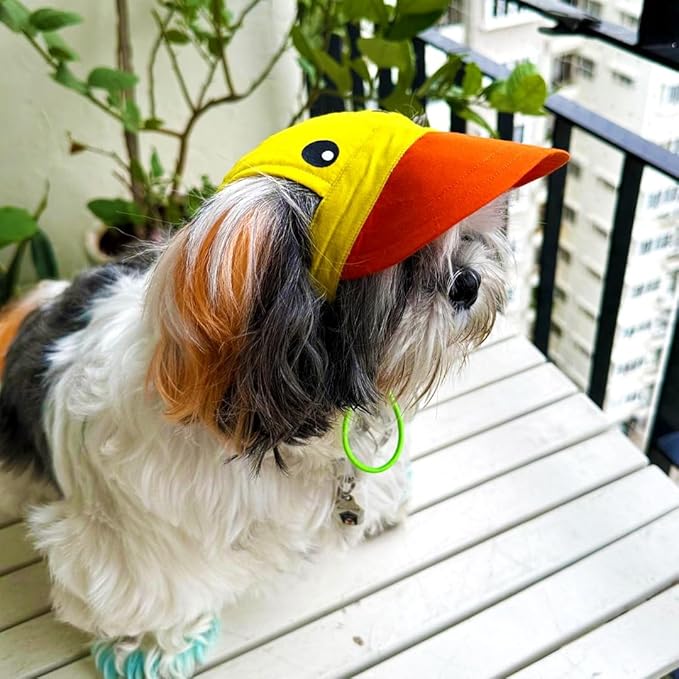 Yellow-Orange Baseball Cap for Dogs (Large)
