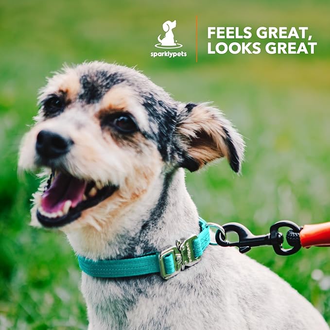 SparklyPets Extra Small Dog Collar with Quick Release Chrome Buckle & AirTag Holder – Premium Small Breeds Collars with Reflective Stripes & Soft Lining for Female & Boy Dogs
