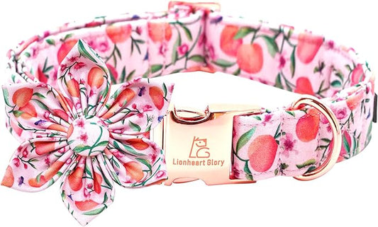 Lionheart Glory Pink Peach Flower Dog Collar - Soft, Durable, Adjustable for Medium Dogs