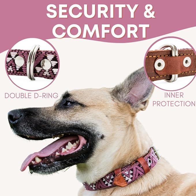 Western Dog Collar - Leather Embroidered Design for Small Medium Large Dogs & Puppy Pets - Aztec Southwest for Boy Girl Female & Male Dogs - Collar para Perros Beaded (Large, Carissma)