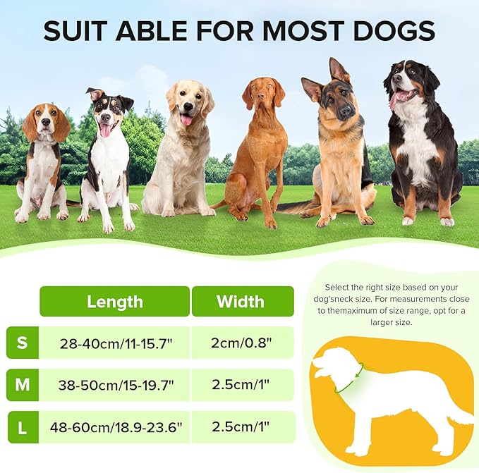 Led Dog Collar for Night Walking,Rechargeable Light Up Dog Collar Led Color,Glow in The Dark Dog Collars Waterproof for Small Medium Large Dogs (Green, Medium)