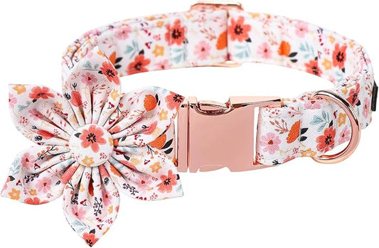 Lionet Paws Design Dogs Collar Cute Adjustable Flower Dog Collars for Girl Female Small Medium Dogs with Summer Floral M