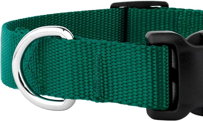 Country Brook Petz - American-Made Dog Collar for Large, Medium, and Small Dogs and Puppies - Deluxe Heavy Duty Nylon in 33 Dazzling Colors (2XS, 3/8 Inch Wide, Green)