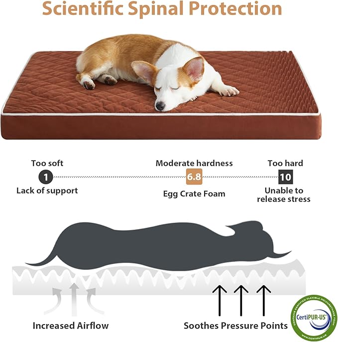 WNPETHOME Orthopedic Dog Bed for Large Dogs - Waterproof with Removable Washable Cover & Anti-Slip Bottom, Egg Crate Foam & Multi-Needle Quilting XL Crate Bed