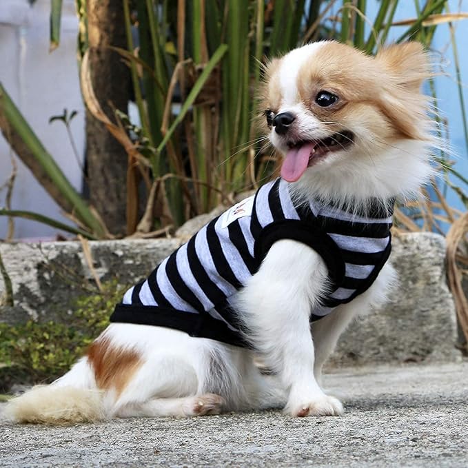 LOPHIPETS 100% Cotton Striped Dog Shirts for Small Dogs Chihuahua Puppy Clothes Tank Vest-Black and Gray Strips/L