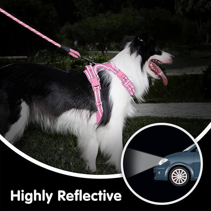 PoyPet No Pull Dog Harness and 5 Feet Leash Set, Release on Neck Reflective Adjustable Pet Vest, Front & Back 2 D-Ring and Soft Padded Pet Harness with Handle for Small to Large Dogs(Pink,S)