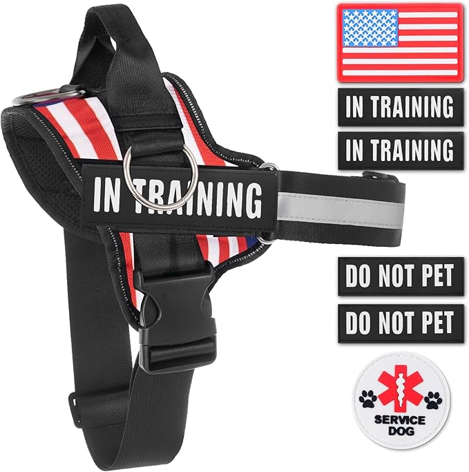 Essential Dog Harness, No Pull Pet Harness with 3 Side Rings for Leash Placement, No Choke, Reflective, Adjustable Pet Vest, Easy On-Off & Improved Control Handle, Training, Walking, Running