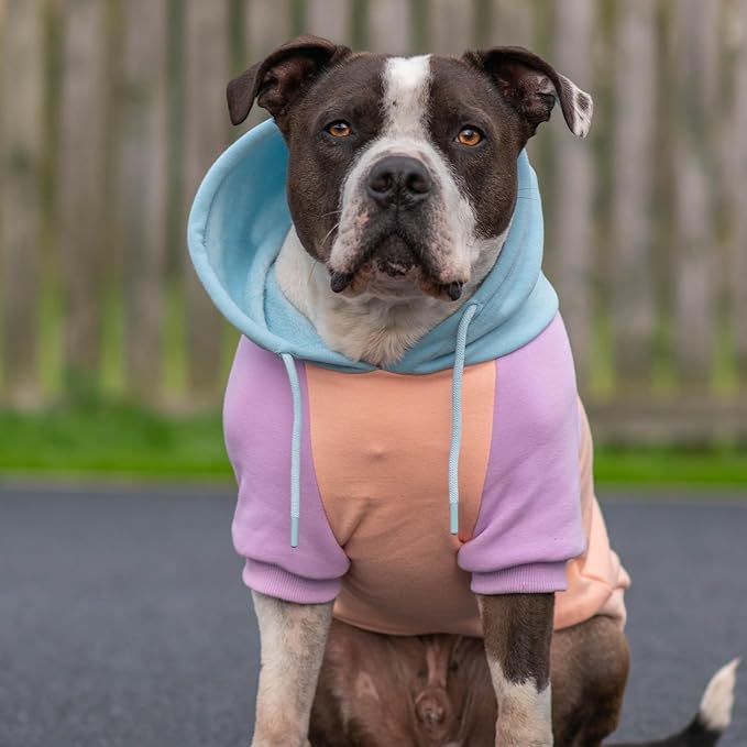 Spark Paws Dog Hoodie - Premium Quality, Buttery Soft, Superior Comfort and Fit, Calming Fleece Interior, Suitable for All Breeds - Cotton Candy - 3XL
