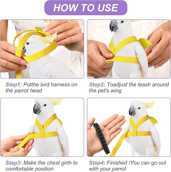 4 Pieces Pet Parrot Bird Harness Leash Adjustable Bird Flying Harness Traction Rope with Cute Wing for Parrots Pigeons Budgerigar Lovebird Outdoor Training Toy (Pink, Yellow, Light Purple, Cyan,S)