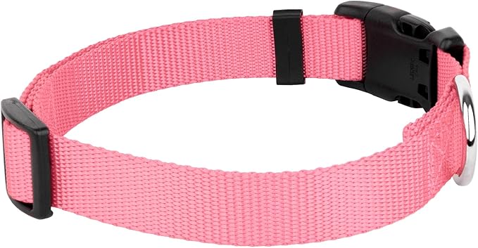 Country Brook Petz - American-Made Dog Collar for Large, Medium, and Small Dogs and Puppies - Deluxe Heavy Duty Nylon in 33 Dazzling Colors (Large, 1 Inch Wide, Pink)