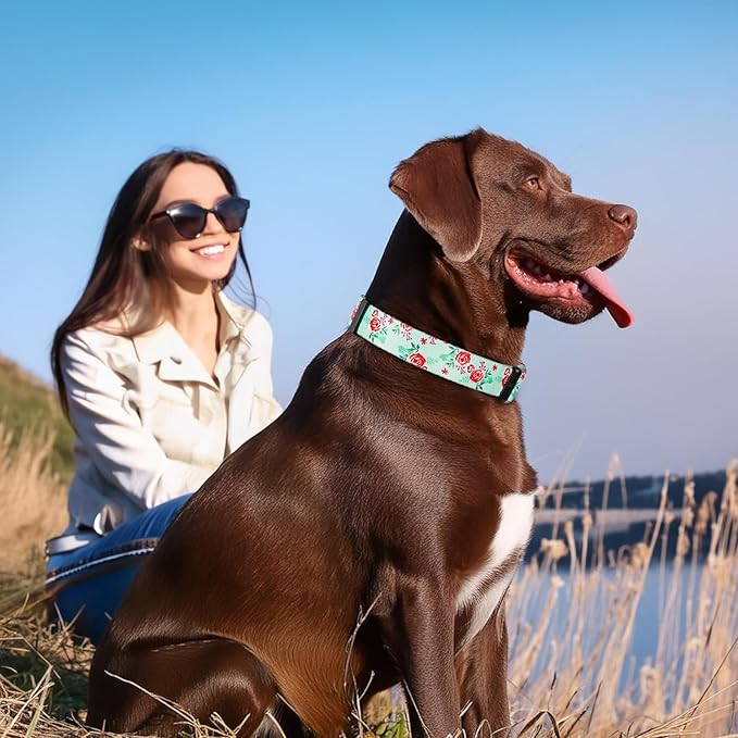 Timos Dog Collar, Adjustable Soft Dog Collar for Small Medium Large Dogs,Print Patterned Puppy Collars with Quick Release Buckle for Boy and Girl Female Dogs,M Length 13.39''-20.87''