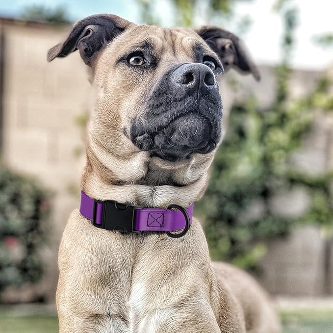Dogline Biothane Waterproof Dog Collar with Quick Release Buckle Strong Coated Nylon Webbing with Odor- Proof for Easy Care Easy to Clean Fits Small Medium Large Dogs, Purple 1" W 15-23" L